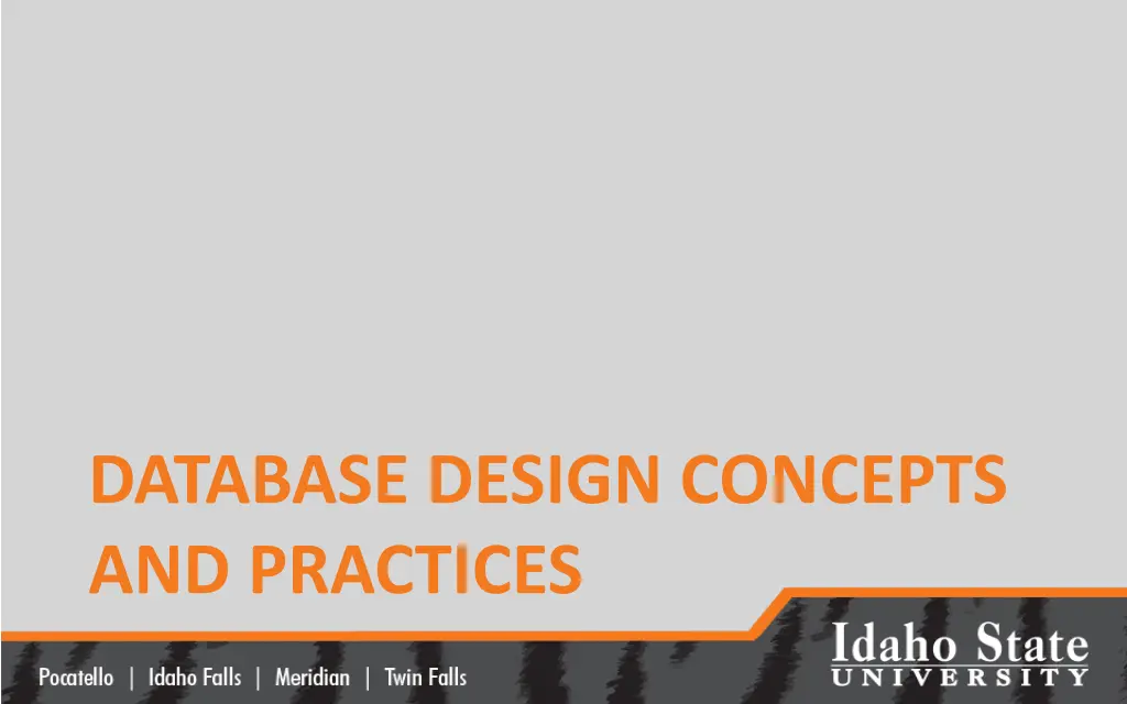 database design concepts and practices