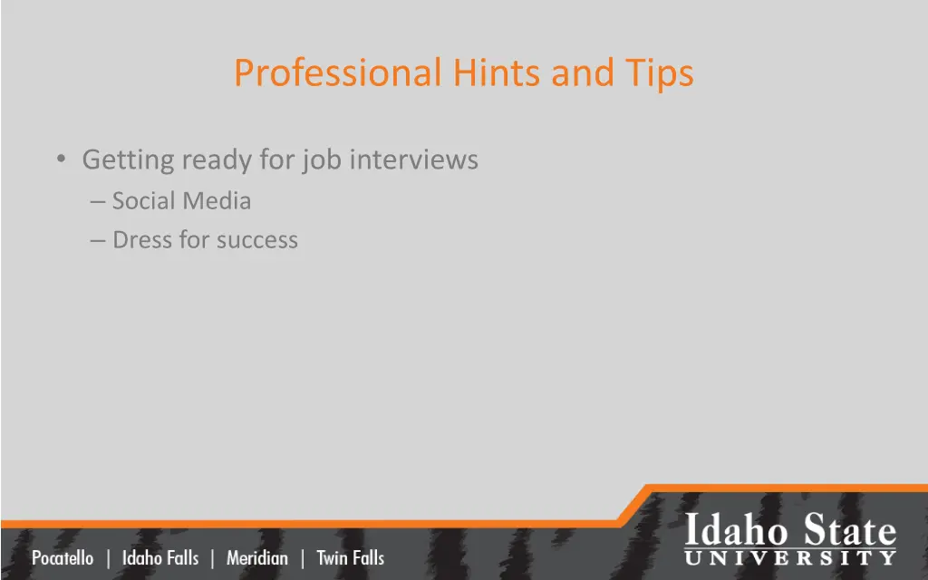 professional hints and tips 1