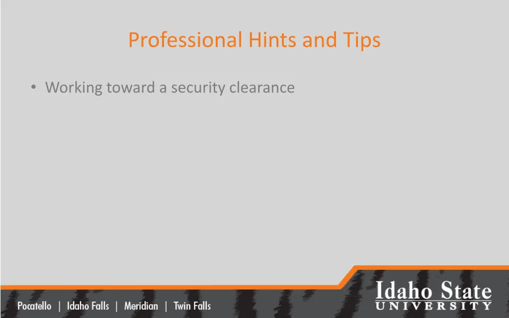 professional hints and tips