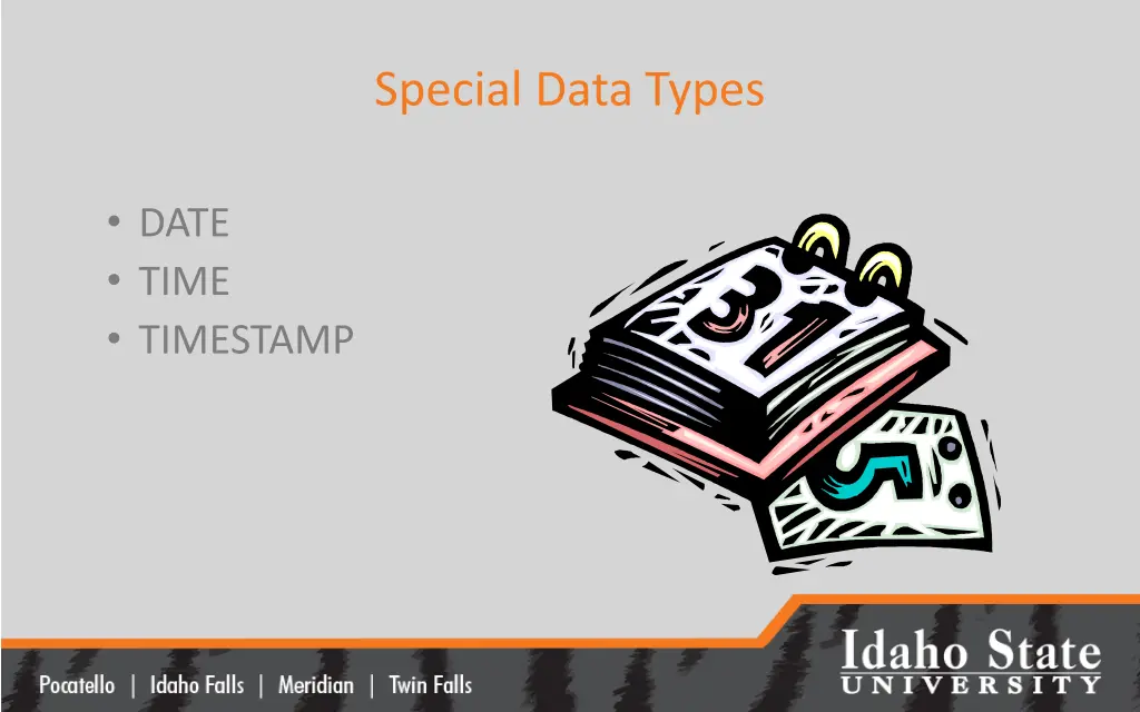 special data types