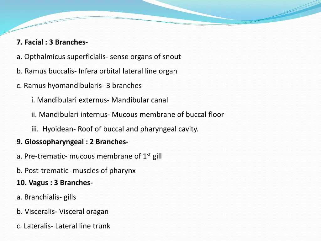 7 facial 3 branches