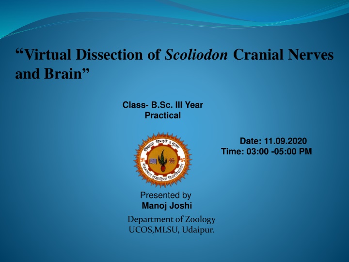 virtual dissection of scoliodon cranial nerves