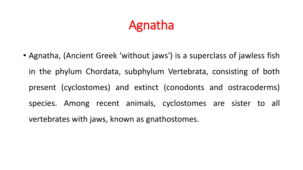 agnatha agnatha