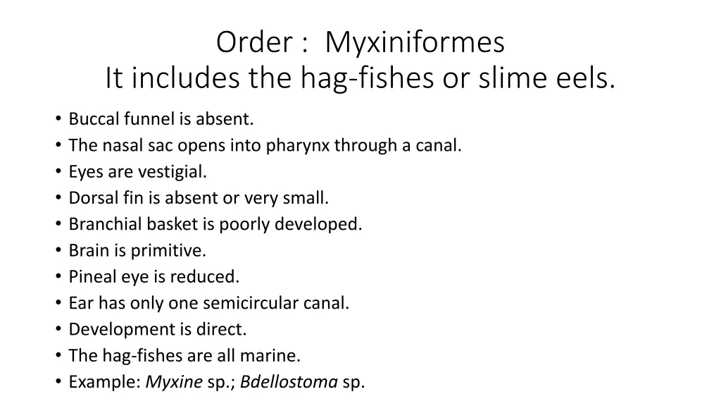 order myxiniformes it includes the hag fishes