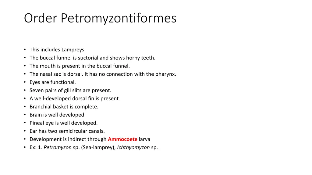 order petromyzontiformes