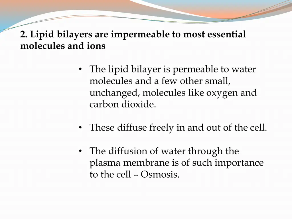 2 lipid bilayers are impermeable to most