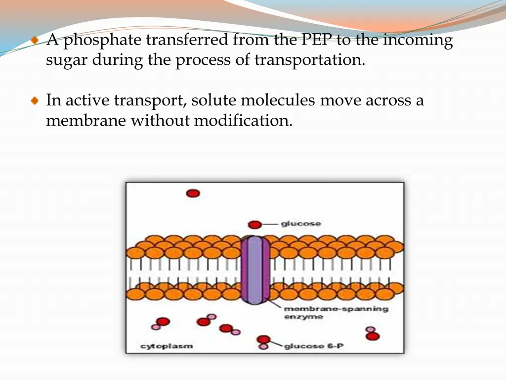 a phosphate transferred from