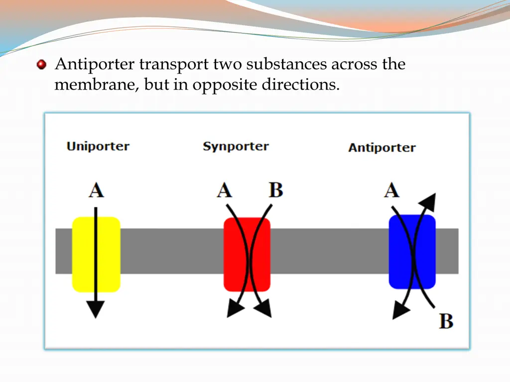 antiporter transport two substances across