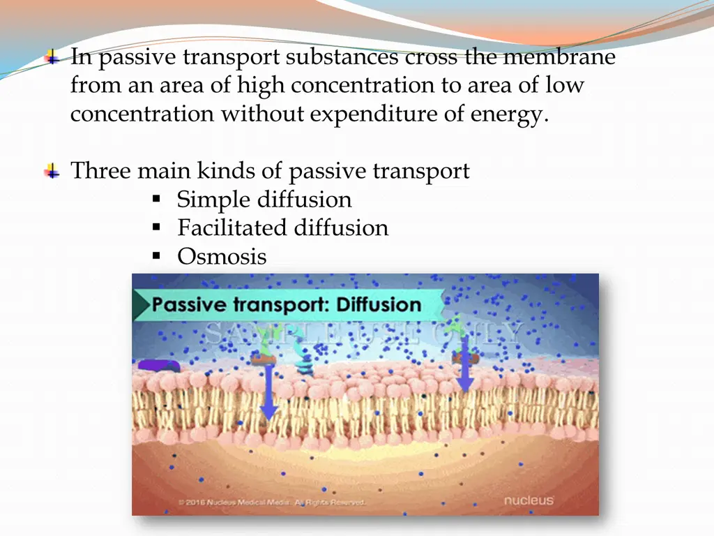 in passive transport substances cross