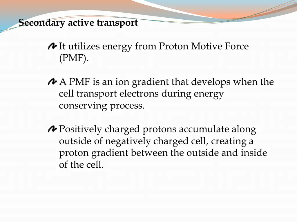 secondary active transport