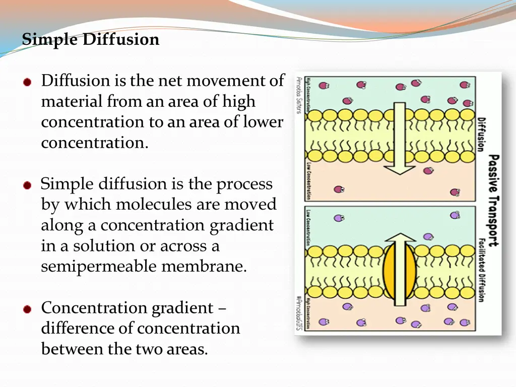 simple diffusion