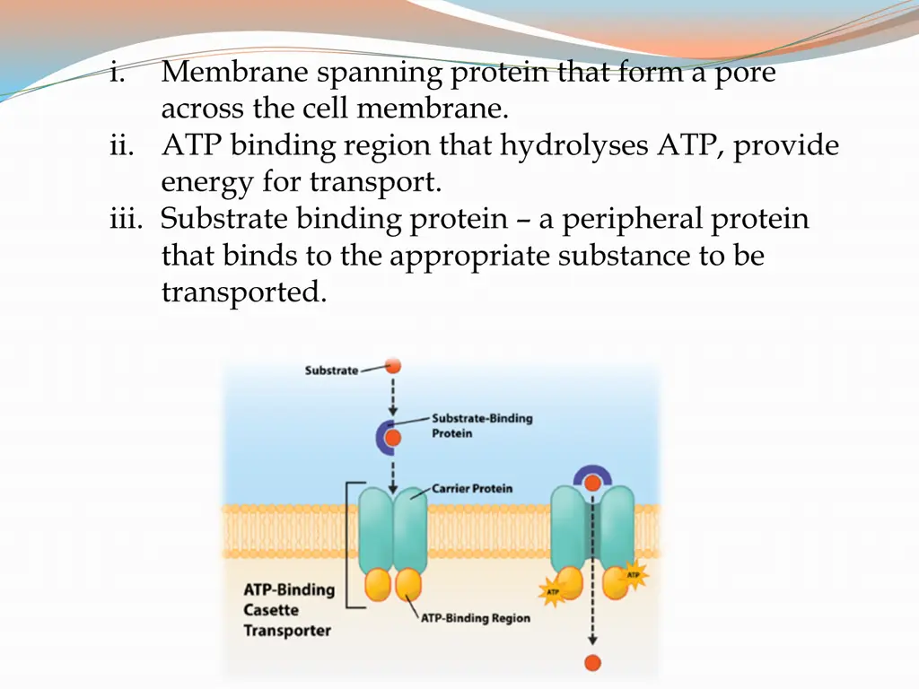 slide18