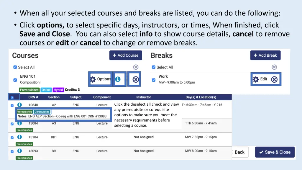 course options and info