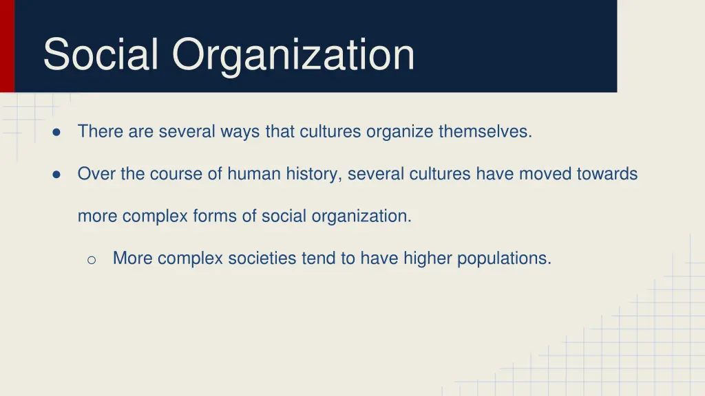 social organization