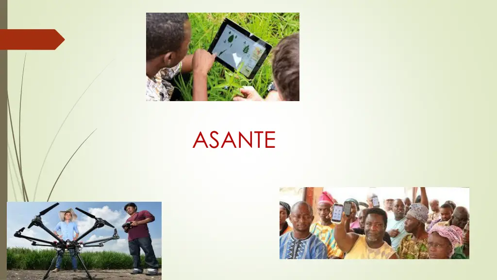 asante