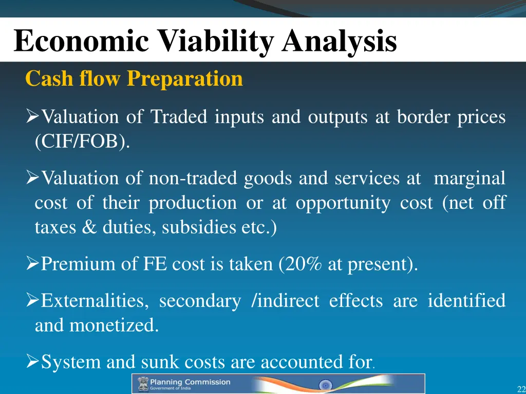 economic viability analysis cash flow preparation