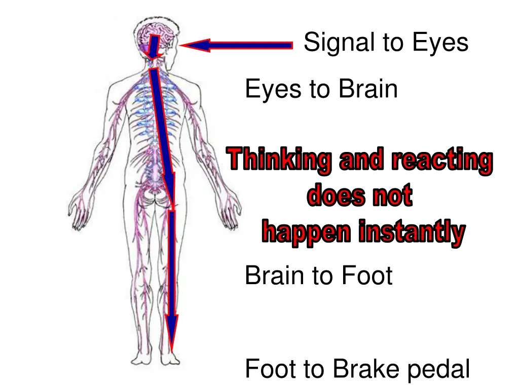 signal to eyes