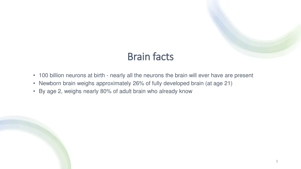 brain facts brain facts