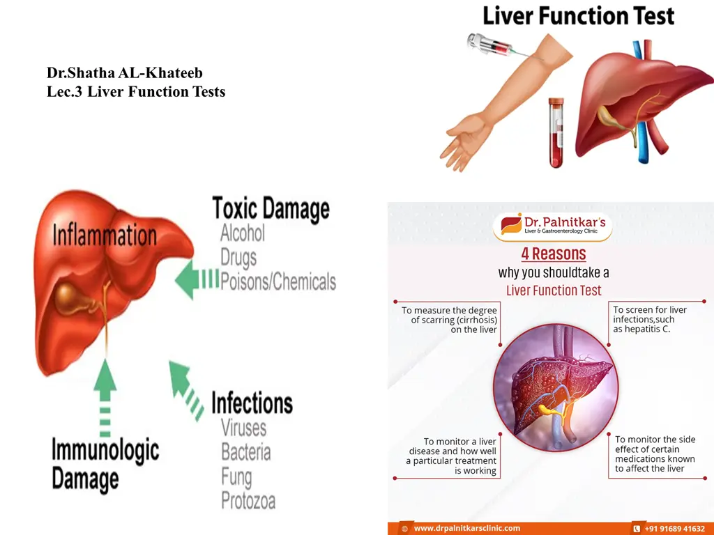 dr shatha al khateeb lec 3 liver function tests