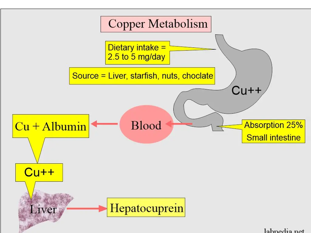 slide11