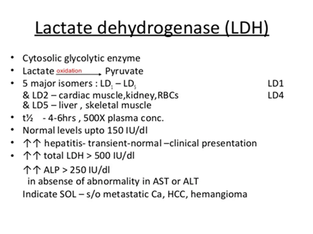 slide29