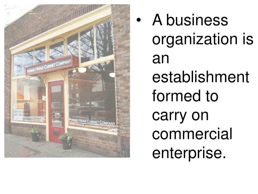 a business organization is an establishment