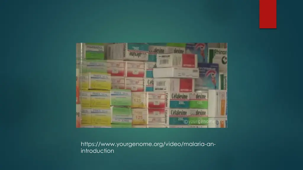 https www yourgenome org video malaria