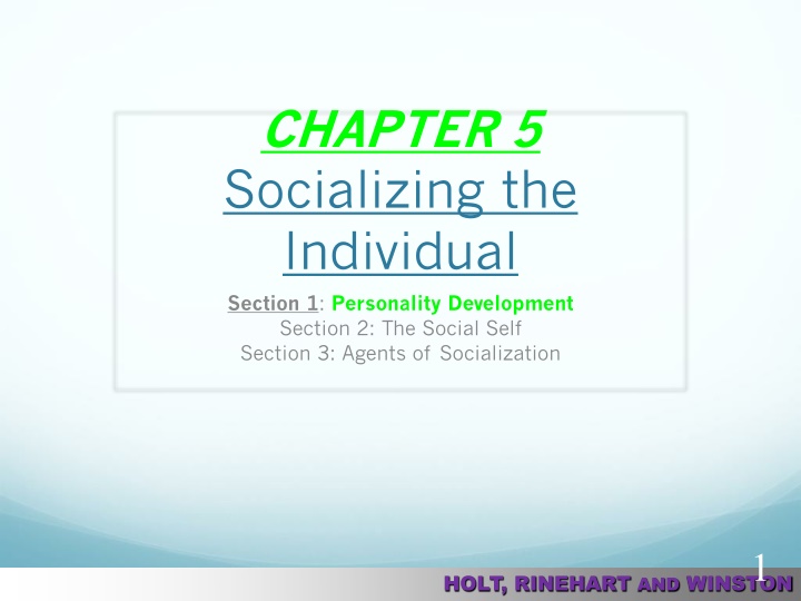 chapter 5 socializing the individual