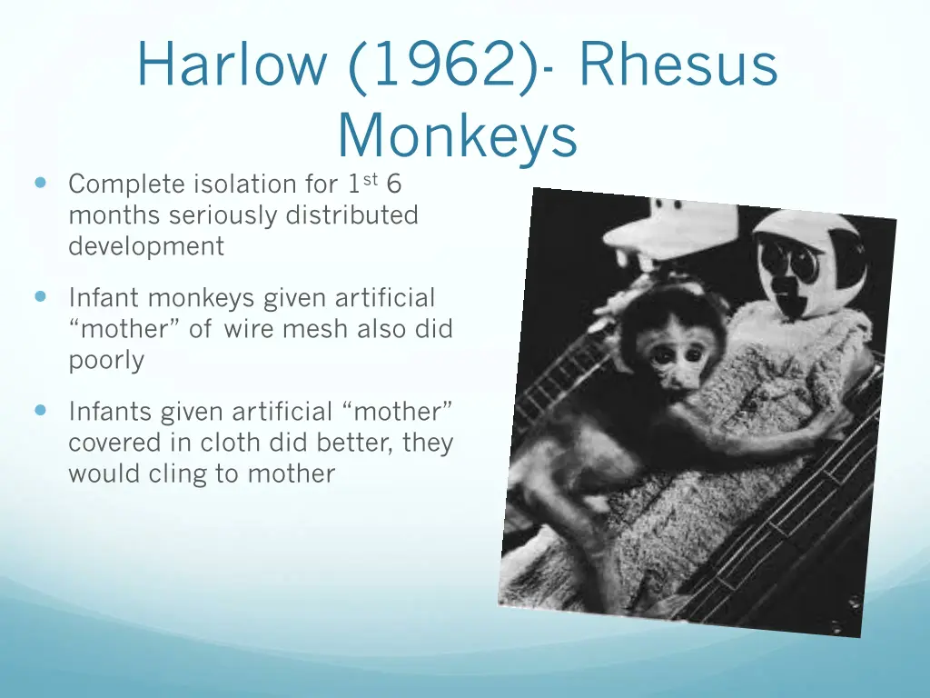 harlow 1962 rhesus monkeys complete isolation