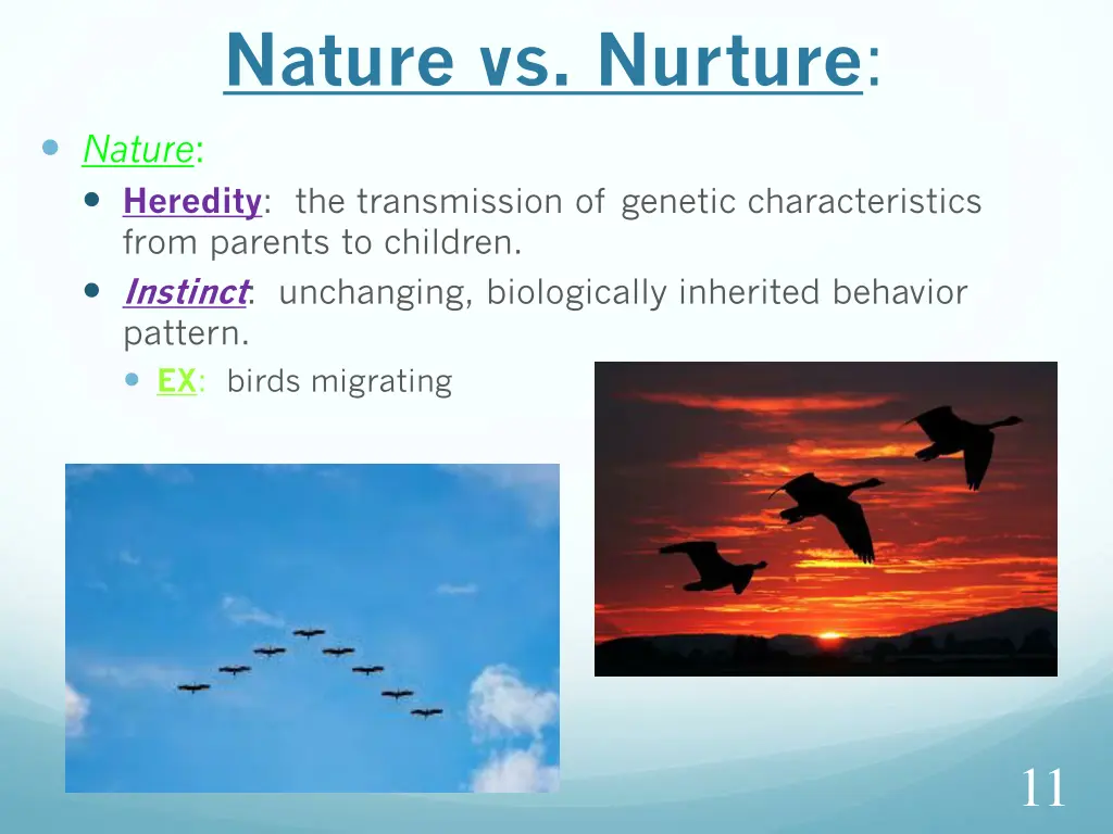 nature vs nurture