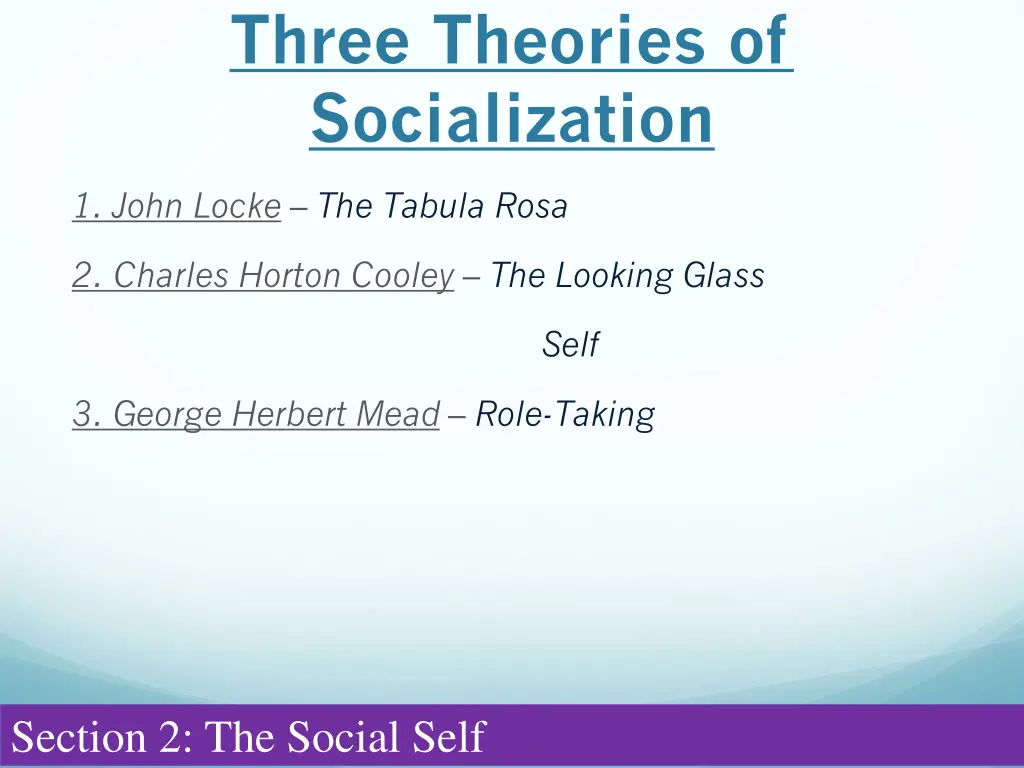 three theories of socialization