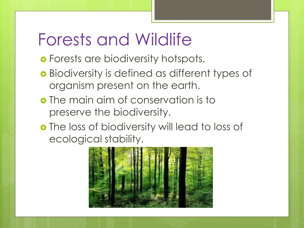 forests and wildlife forests are biodiversity