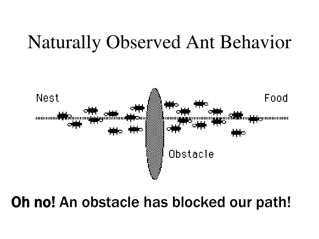 naturally observed ant behavior 1