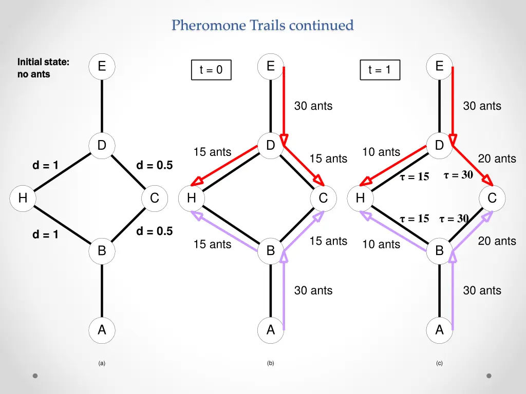 pheromone trails continued