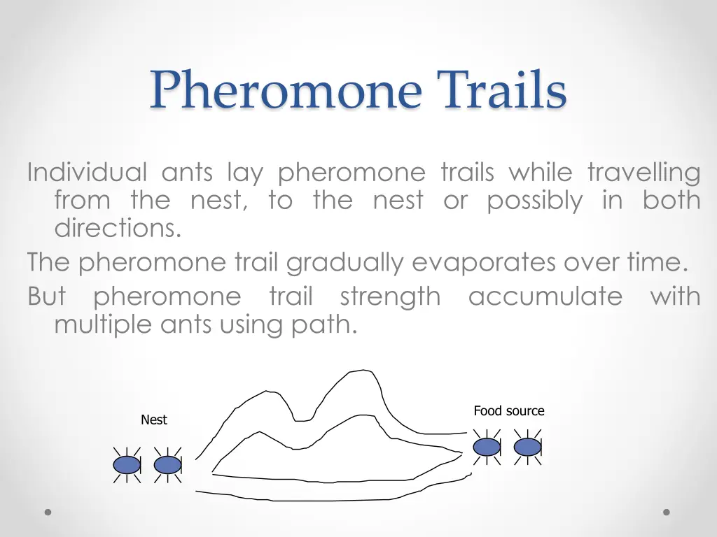 pheromone trails