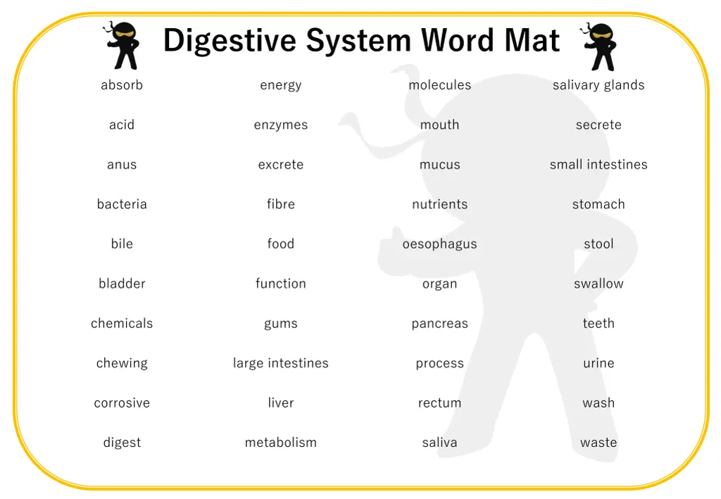 digestive system word mat