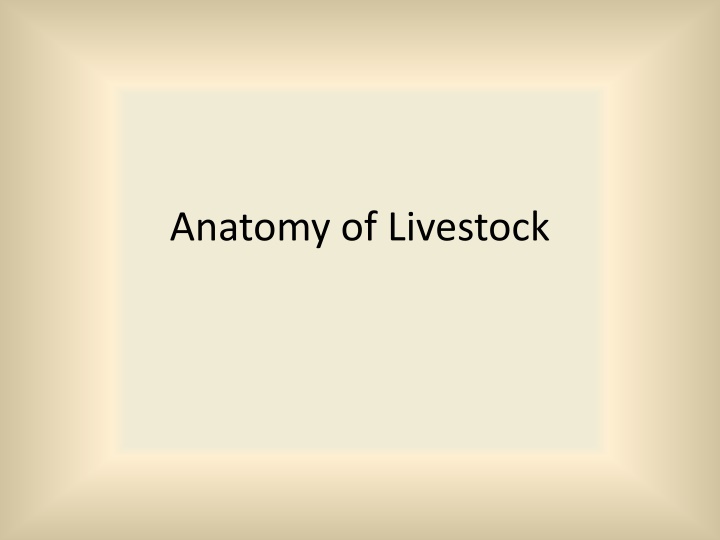 anatomy of livestock