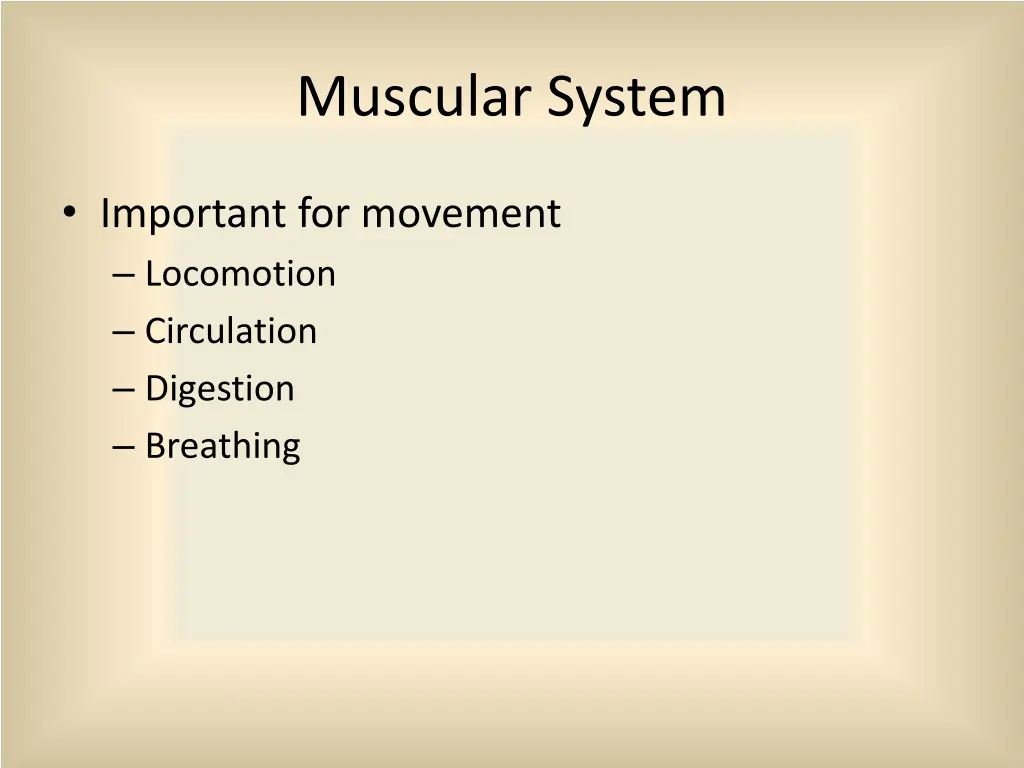 muscular system 1