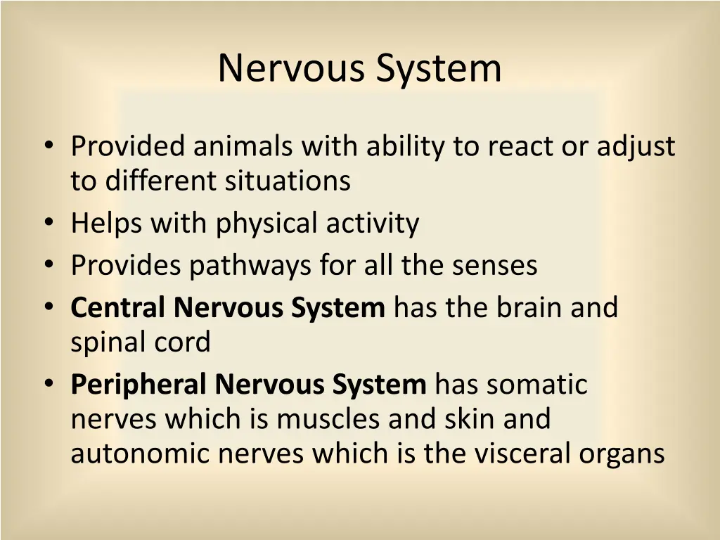 nervous system