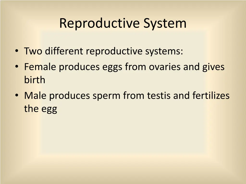 reproductive system