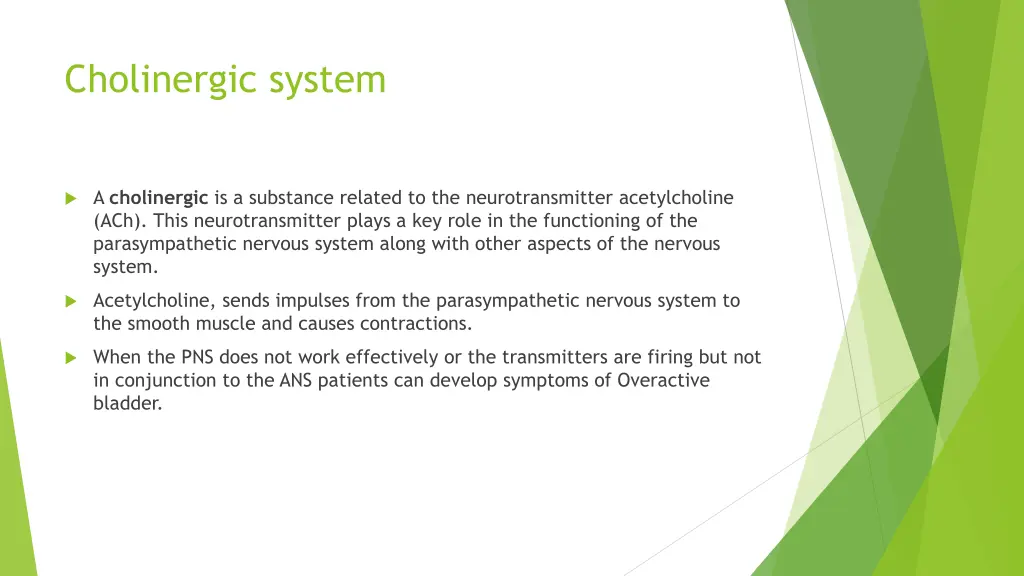 cholinergic system