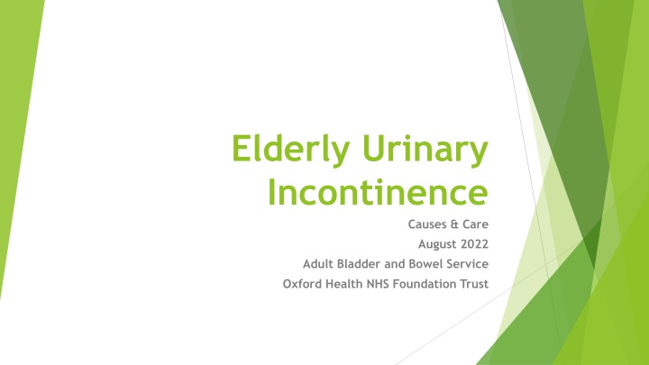 elderly urinary incontinence