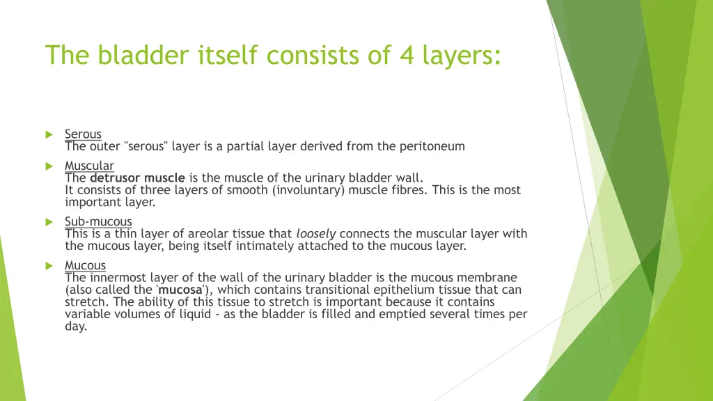 the bladder itself consists of 4 layers