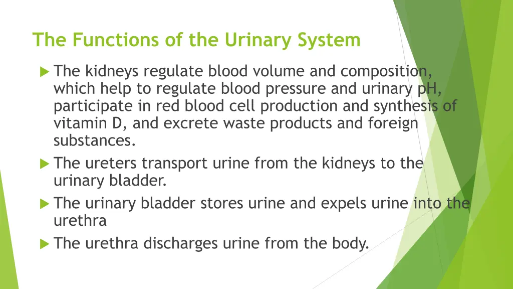 the functions of the urinary system