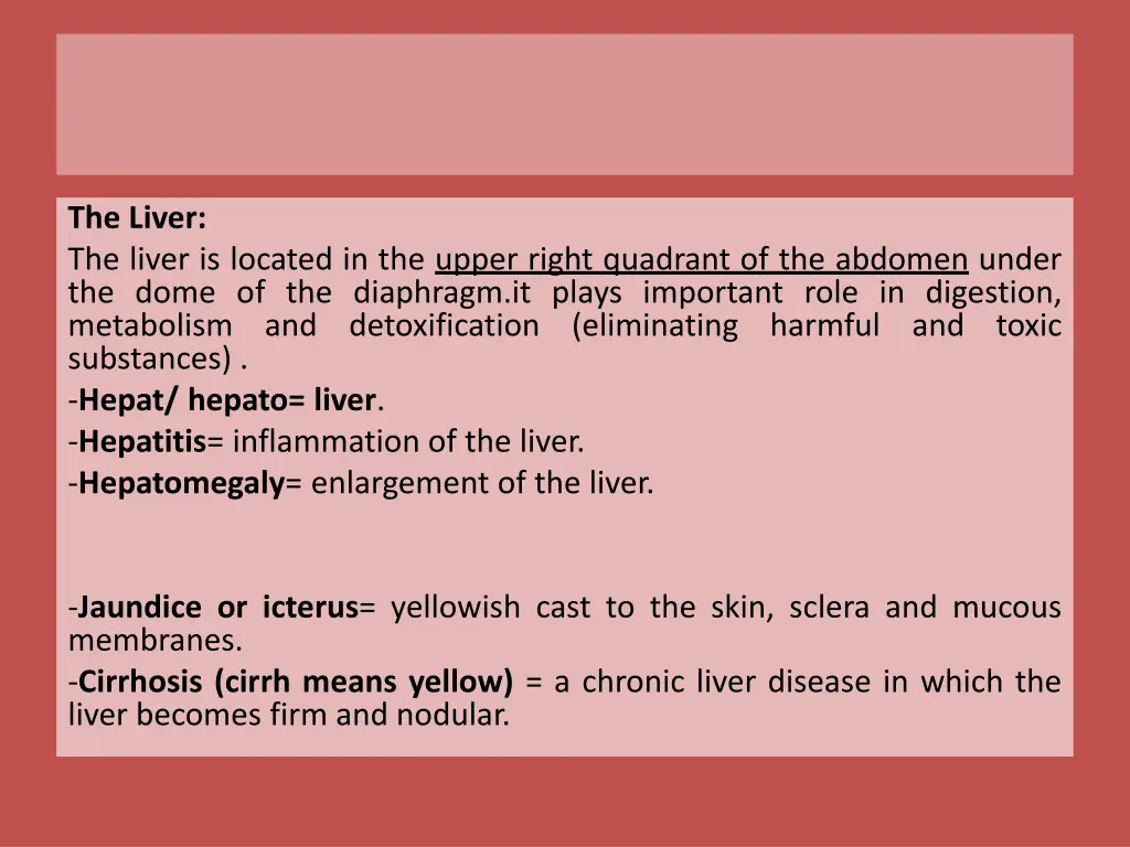 the liver the liver is located in the upper right