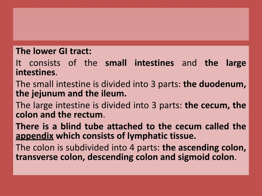 the lower gi tract it consists of the small