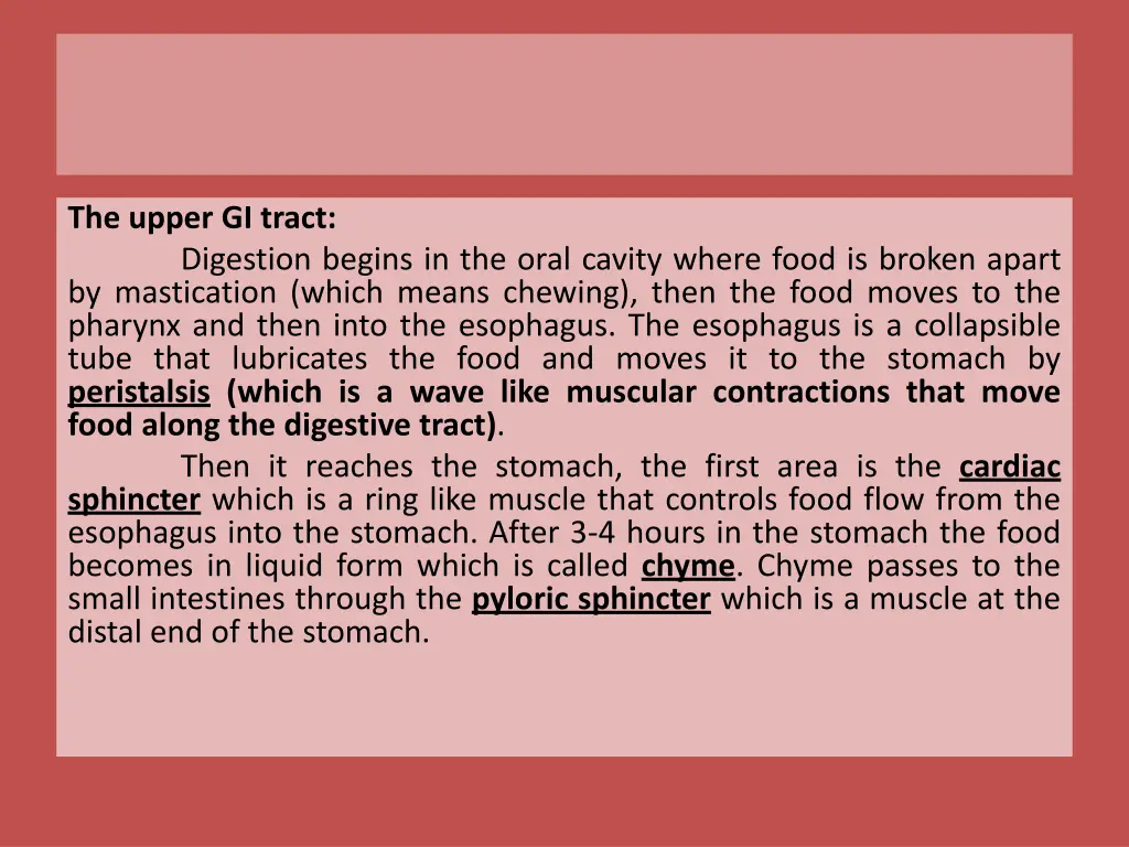 the upper gi tract digestion begins in the oral