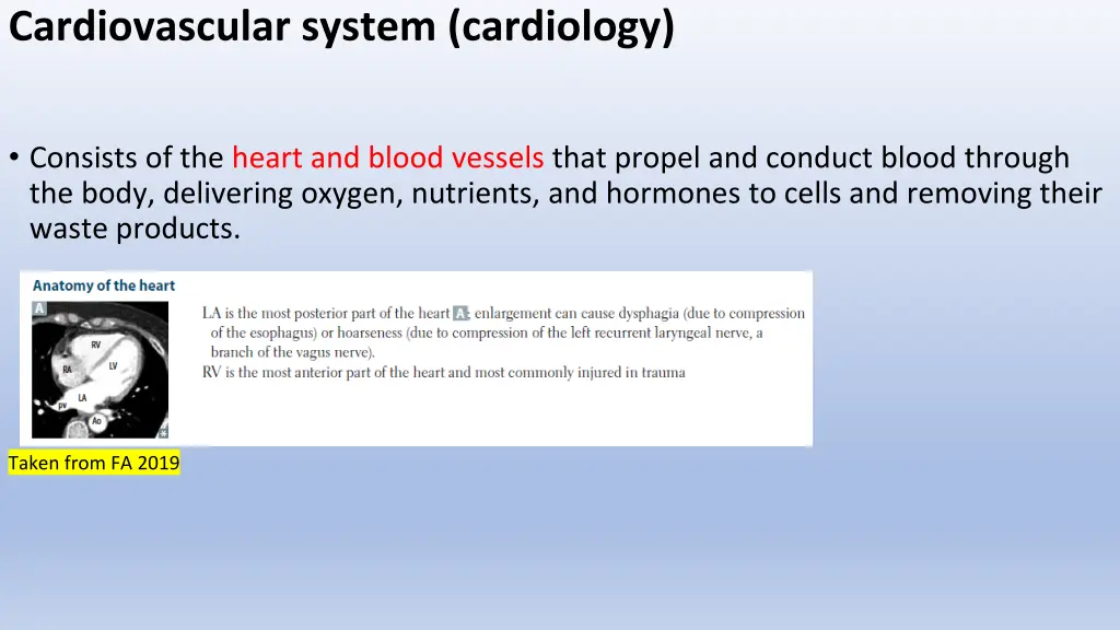 cardiovascular system cardiology