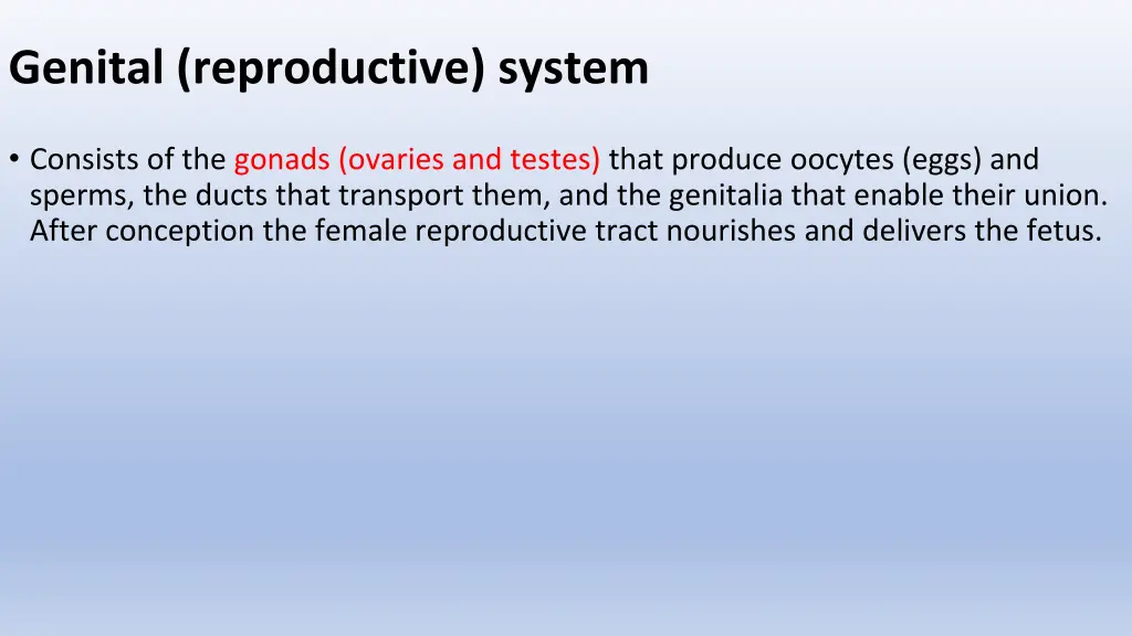 genital reproductive system