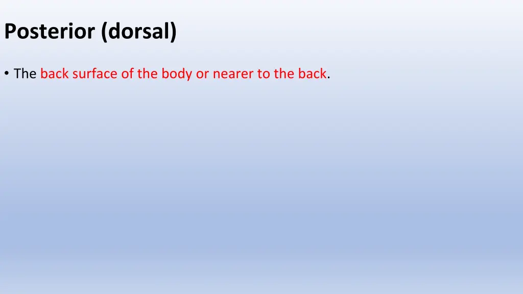 posterior dorsal